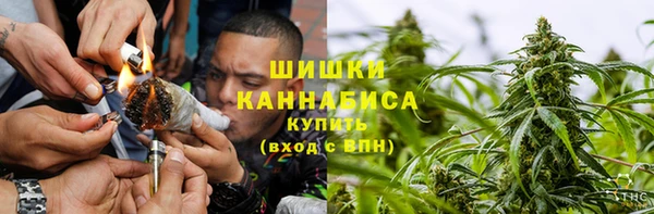 ПСИЛОЦИБИНОВЫЕ ГРИБЫ Алзамай