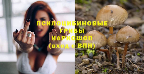 МДПВ Алексеевка