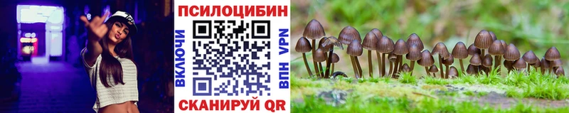 omg ССЫЛКА Билибино Галлюциногенные грибы Magic Shrooms