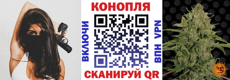 Каннабис индика Билибино